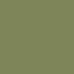 Керамогранит Rainbow Green RW06 неполированный 60x60