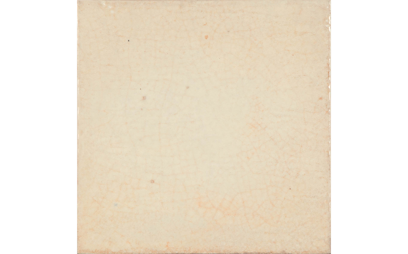 Maiolica Crema 20*20