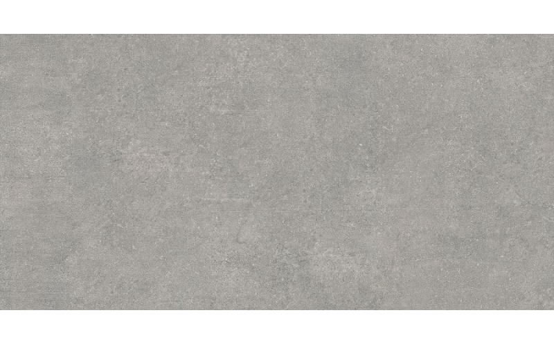Керамогранит Newcon Серебристо-Серый Матовый R10A (K945778R0001VTE0) 60x120