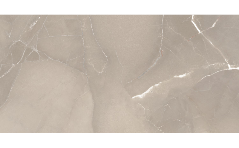 Керамогранит Passion Lux Grey 60x120