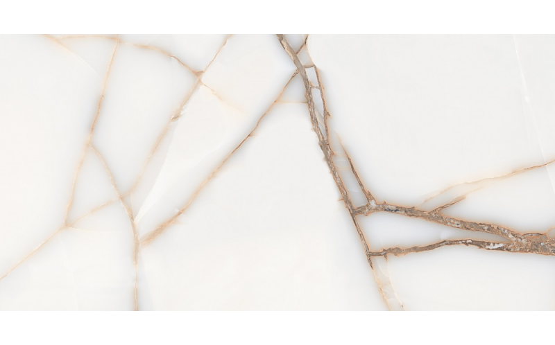 Керамогранит Favorite Onyx White Glossy 60X120