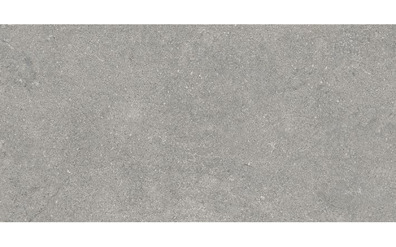 Керамогранит Newcon Серебристо-Серый Матовый R10A (K945752R0001VTE0) 30x60
