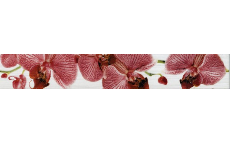 Бордюр Fiori Орхидея (267081) 6X40