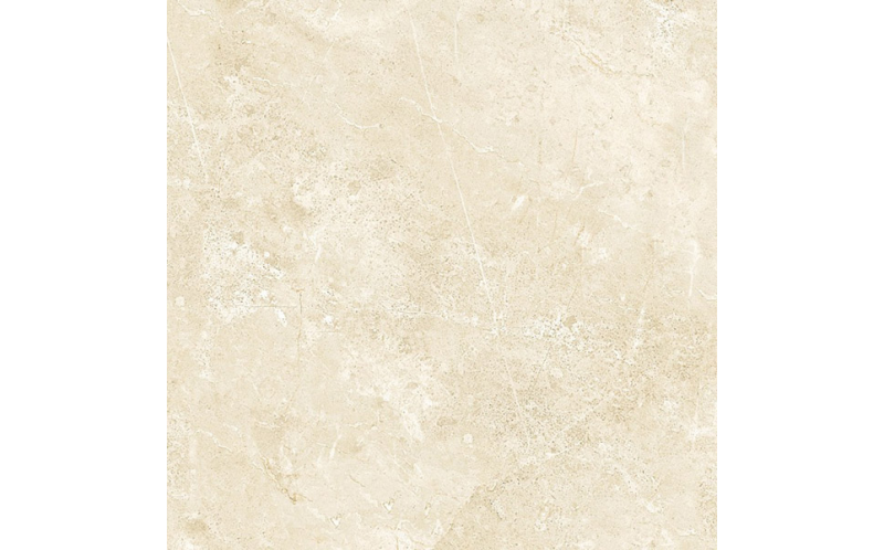 Керамогранит 89196 Grigio Imperiale Light Mat Ret 60X60