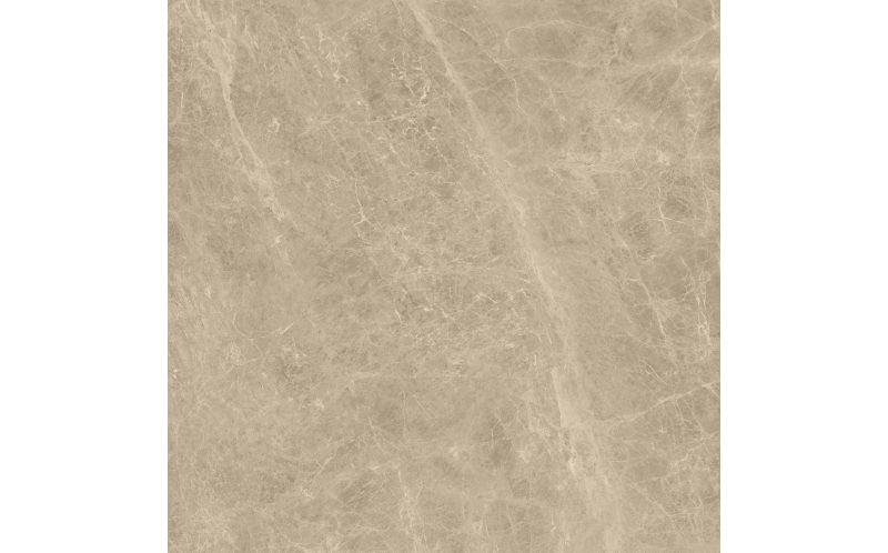 Керамогранит Marvel Edge Elegant Sable Lappato (AENK) 120x120