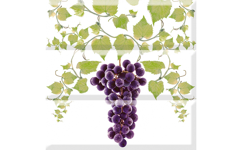 Comp.grapes 03 B