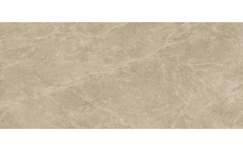Настенная плитка Marvel Edge Elegant Sable (A4SM) 50x120