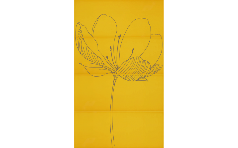 255D3RD DREAM A YELLOW