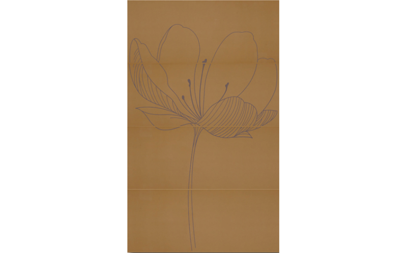 255D4RD DREAM A KAKI