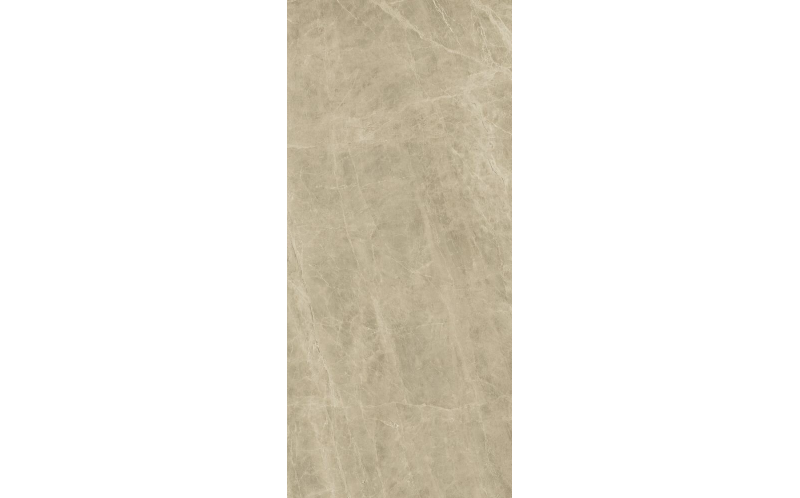 Керамогранит Marvel Elegant Sable Lappato (A0BL) 120x278