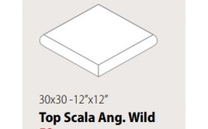 Ступень Wild Dust Top Ang (Csatawdu02) 30X30
