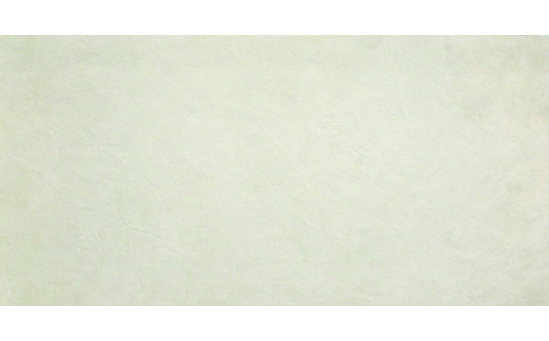 Керамогранит Evolve White (AKB3) 60x120