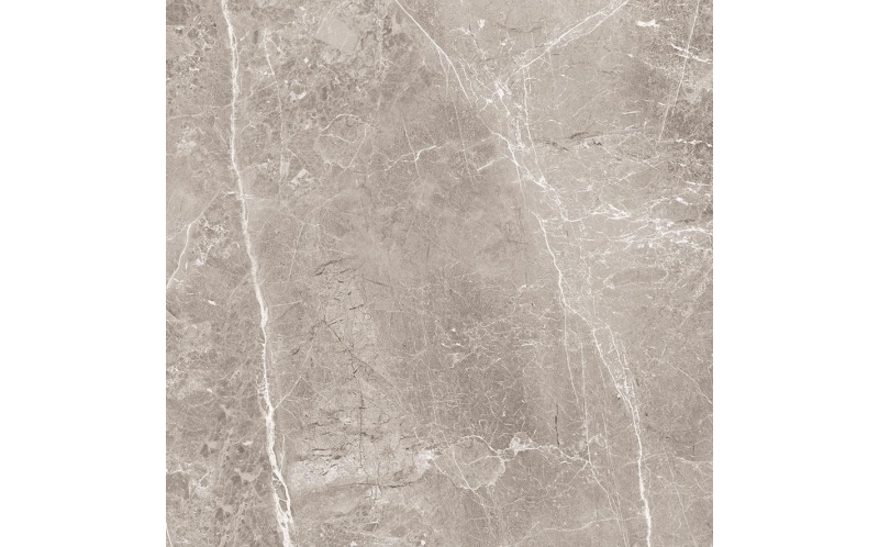 Керамогранит Obsidian Grey 60х60 Матовый