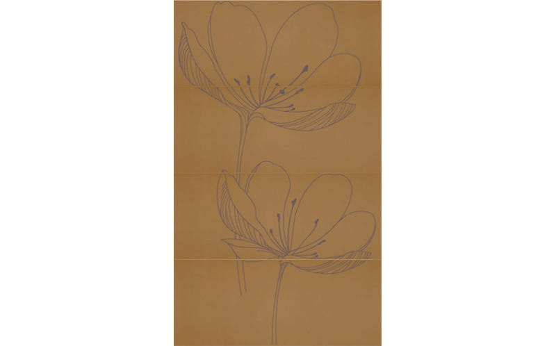 255D4RE DREAM B KAKI