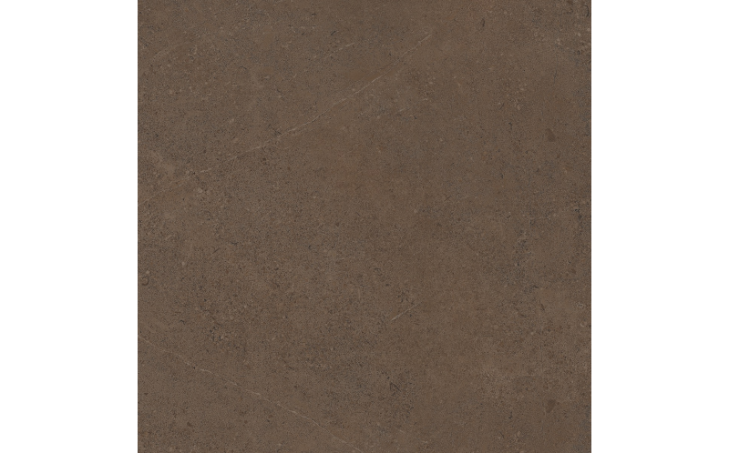 Керамогранит Estima GO03 Gobi Brown Grey неполированный 60x60