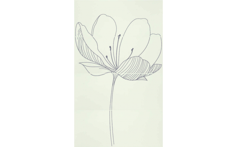 255D0RD DREAM A PLUME