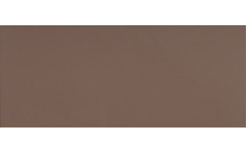 Rev.VISION COFFEE BROWN VSN661N 26*61