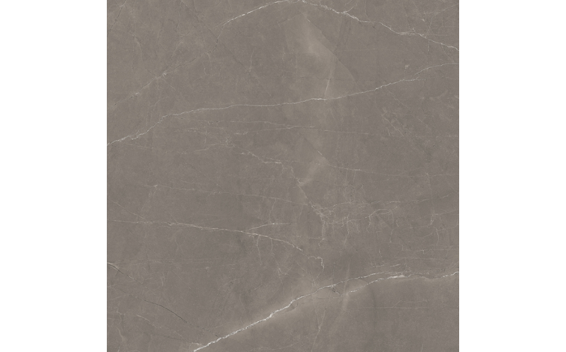 Керамогранит Laparet Splash Grey серый 60х60 Сатинированный Карвинг (х9999293153)