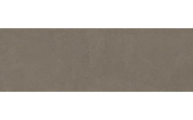 Керамогранит Design Cement (SLC.ST.GRN.NT) 5,5 мм 100x300