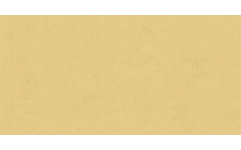 Настенная плитка Wide&Style Mini Ginger Ret (PF60008231) 60x120
