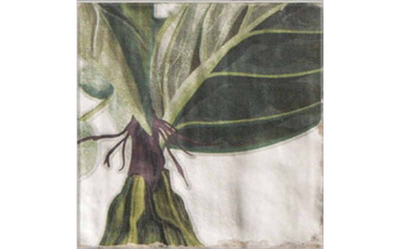 Настенная плитка Cinque Terre Decor Protea 20x20