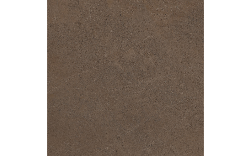 Керамогранит Estima GO03 Gobi Brown Grey неполированный 60x60