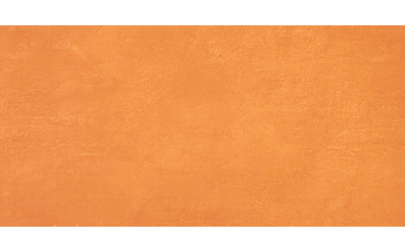 Настенная плитка Ewall Orange (8E4G) 40x80