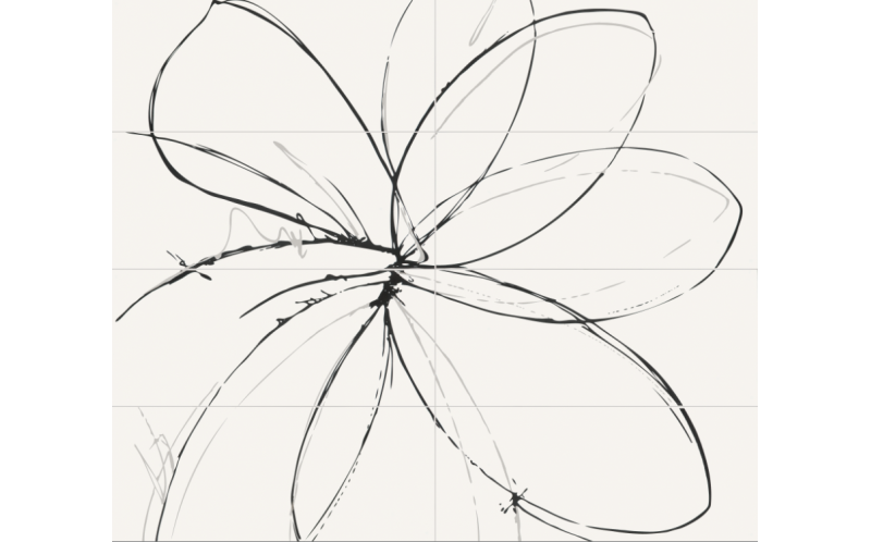 653E0RF Fiore White Line