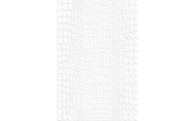 Настенная плитка Верньеро 8240 Белый 20x30