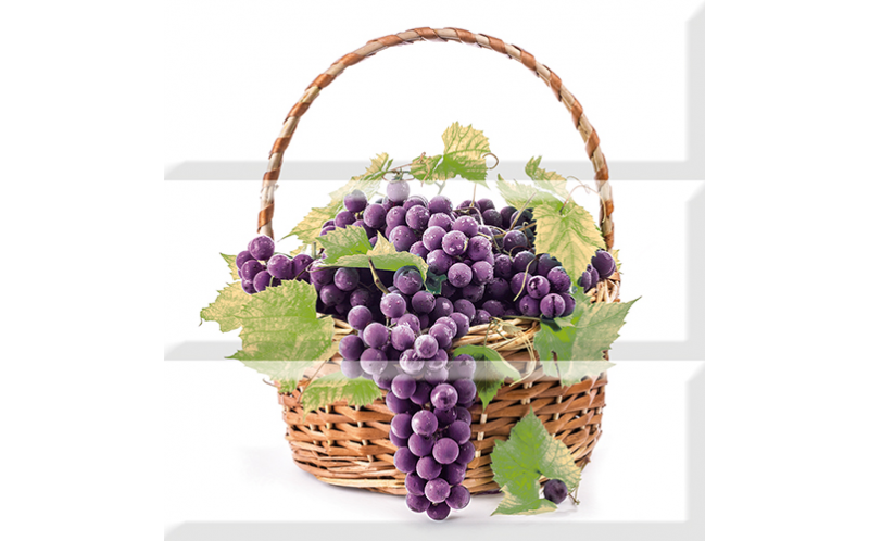Comp.grapes 03 A