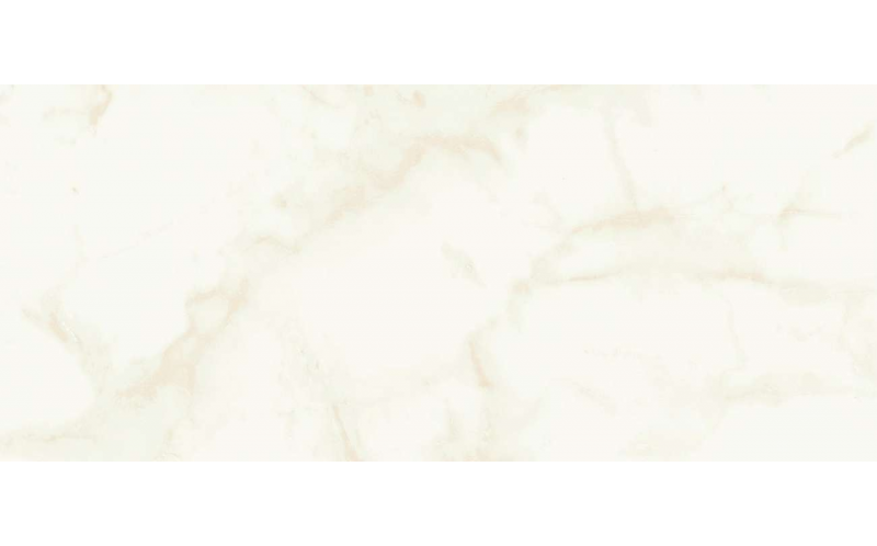 Настенная плитка Marvel Shine Calacatta Delicato Silk (A4TT) 50x120