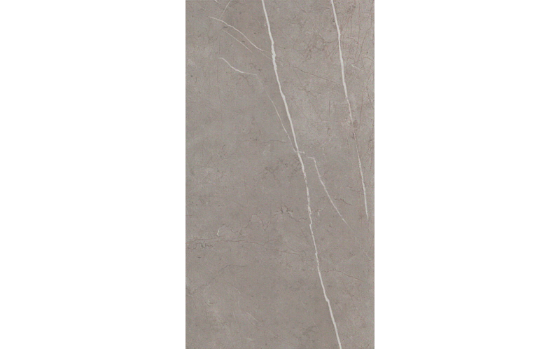 Настенная плитка Marvel Silver Dream (9P5S) 30,5x56