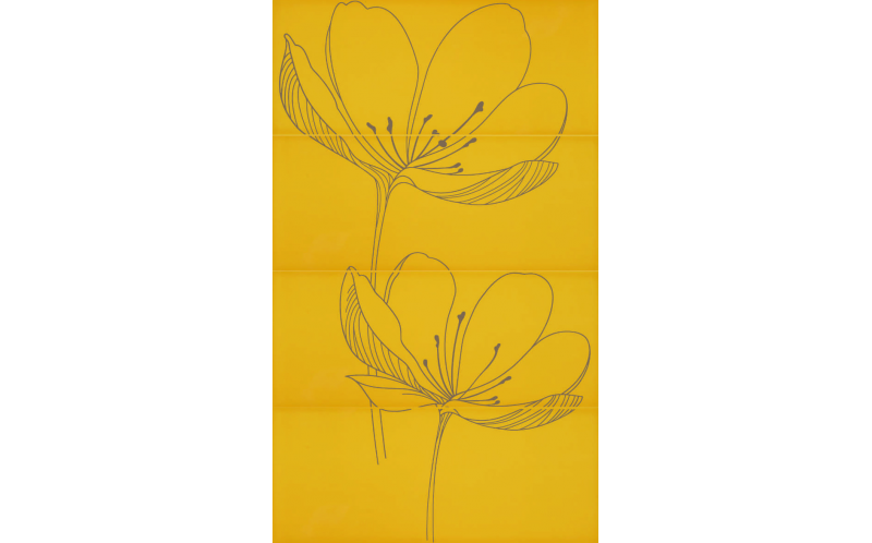 255D3RE DREAM B YELLOW