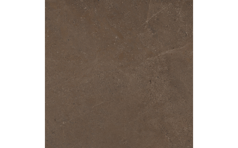 Керамогранит Estima GO03 Gobi Brown Grey неполированный 60x60
