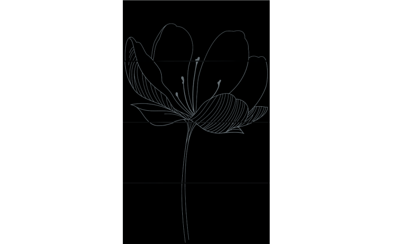 255D9RD DREAM A BLACK