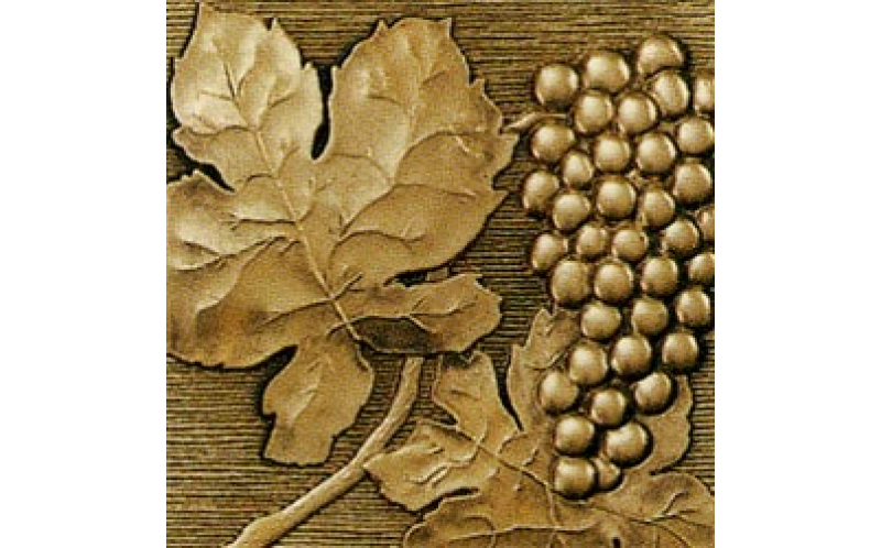 ioja Centro-1 Bronce