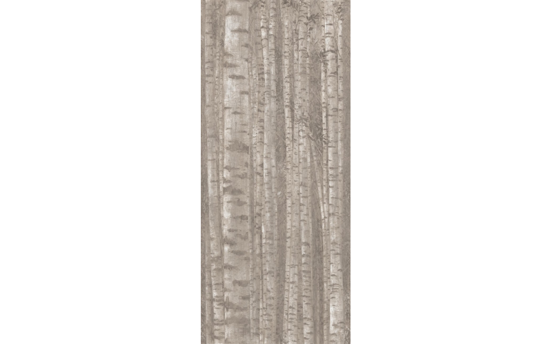 Керамогранит Boost Pro Grove (A0LW) 120x278