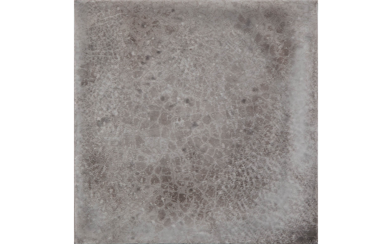 Maiolica Grigio 20*20