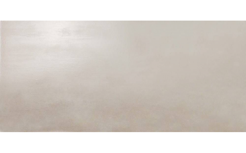 Настенная плитка Dwell Silver (4D1V) 50x110