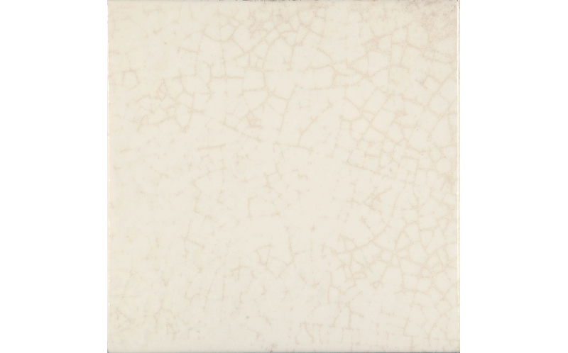 Maiolica Latte 20*20