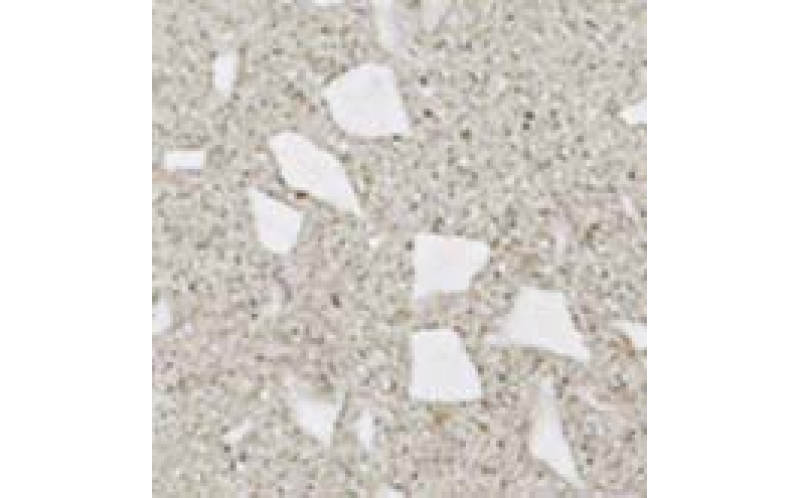 Декор Marvel Terrazzo Pearl Angolo Lapp (AS72) 7x7
