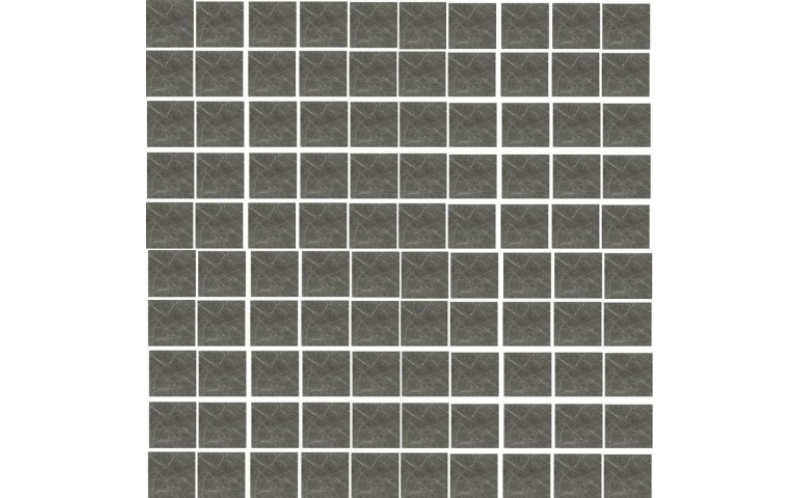 Мозаика Prexious Of Rex Charming Ambe Mosaico 3D Mix 756318 30X30