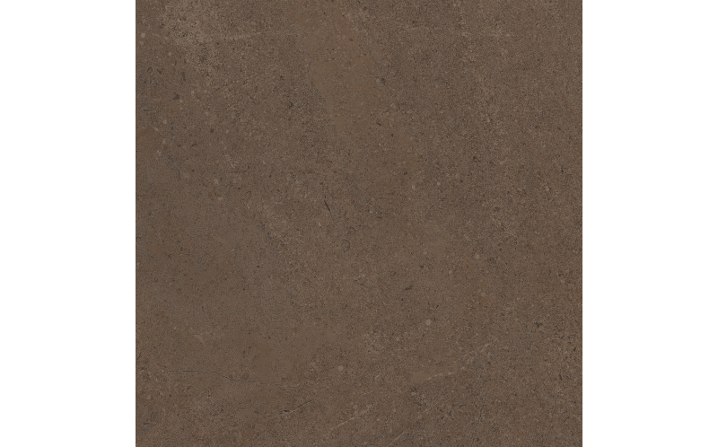 Керамогранит Estima GO03 Gobi Brown Grey неполированный 60x60