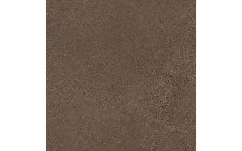 Керамогранит Estima GO03 Gobi Brown Grey неполированный 60x60
