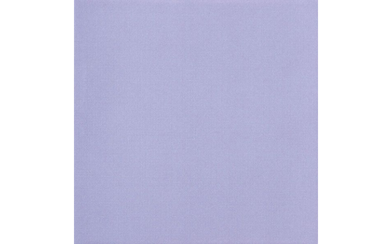 Pav.VISION VIOLET VSN202N 45*45