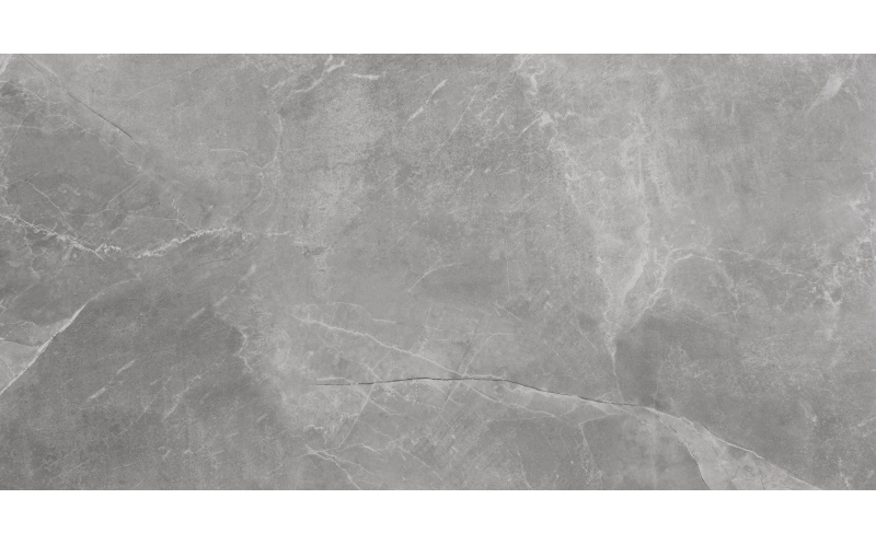 Керамогранит Maxie/stonemood Silver Rect 59,7X119,7