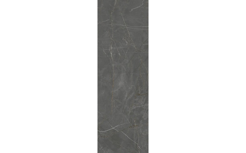 Настенная плитка Буонарроти 13098R Серый Темный Обрезной 30x89,5
