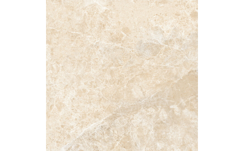 Керамогранит Ambassador Emperador Beige (CV20248) 60x60