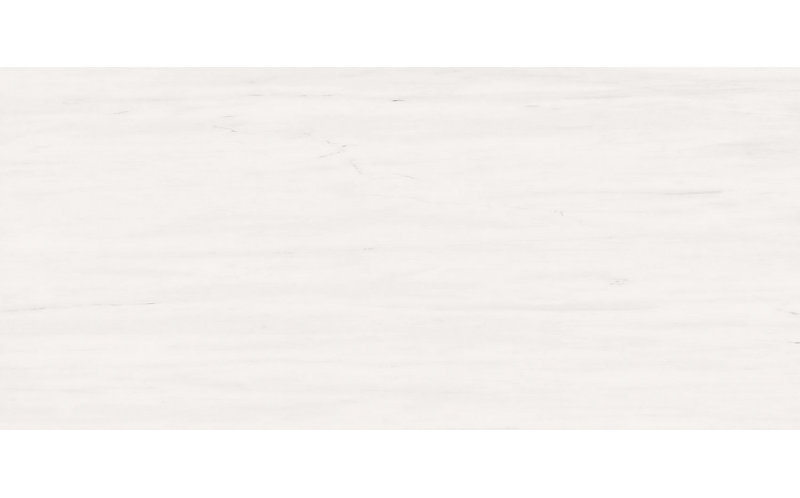 Настенная плитка Bianco Dolomite (AZOR) 50x110