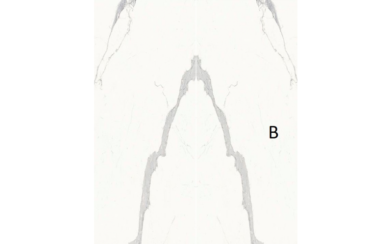 Керамогранит Stone Calacatta (SAR.UM.STUTB.LC) 6 мм 150x300